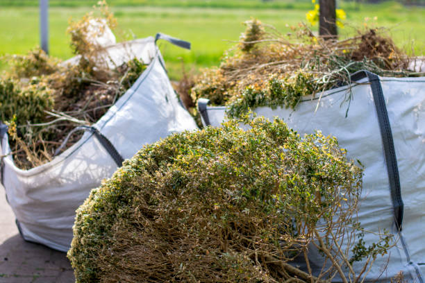 Best Estate Cleanout Services  in Eudora, KS